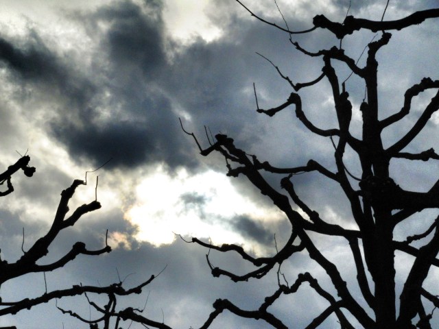 07FOORIAT_GenevaStorm_8MZ