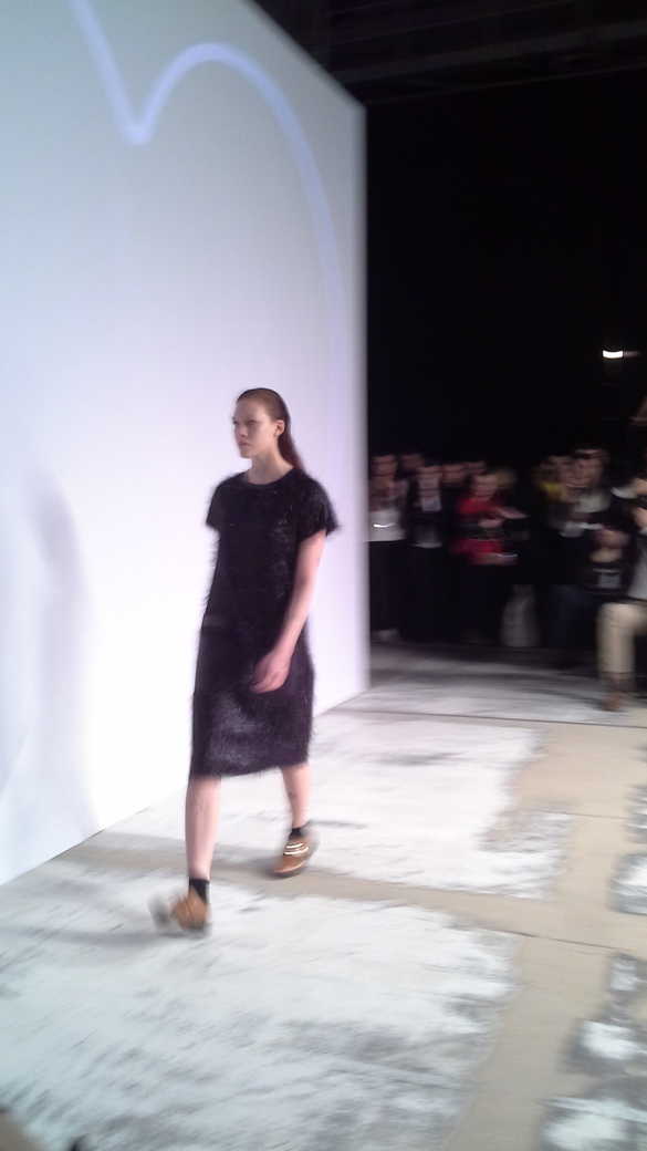 Acephala fotMZawadzka 1