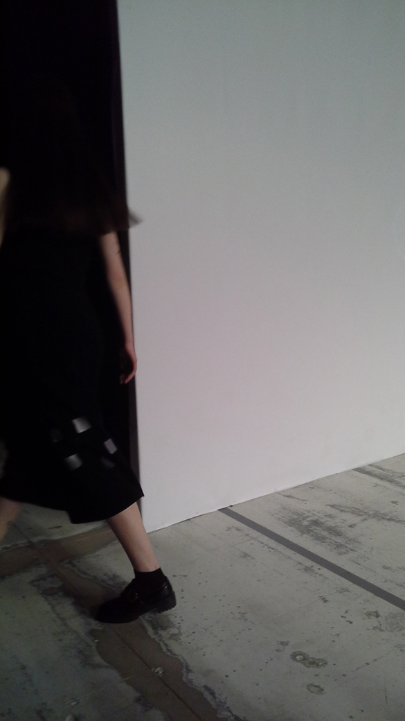 Acephala fotMZawadzka 2