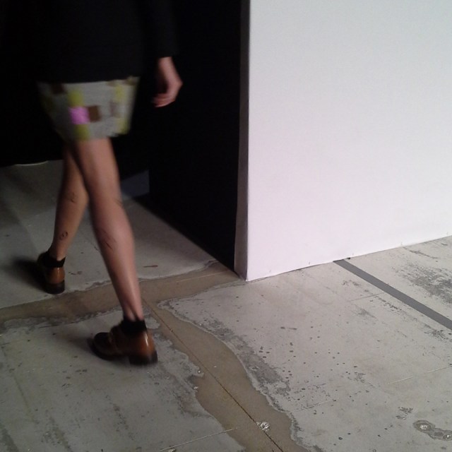 Acephala fotMZawadzka