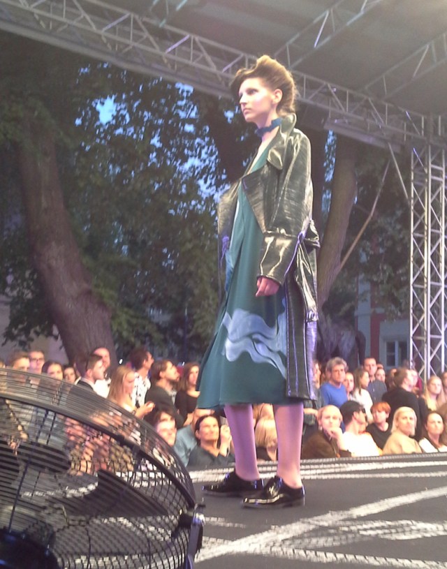 katedra stawiarska 03