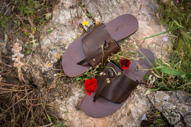 06 ippomare_LCS_6576_pandora_93