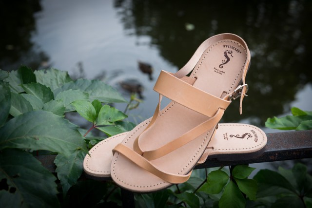 ippomare_LCS_9810_alekto