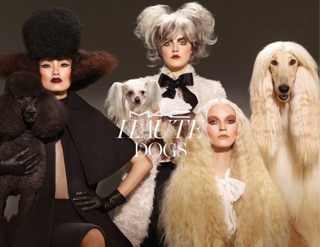 haute dogs visual mac