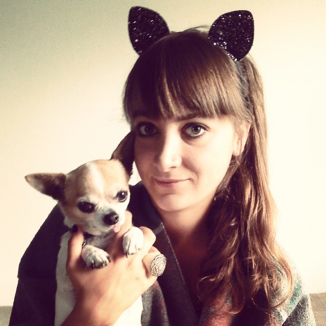 kroljestnagi chihuahua