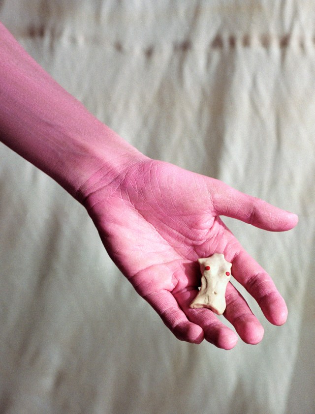 acephala SS_2016_LOOKBOOK__Page_00