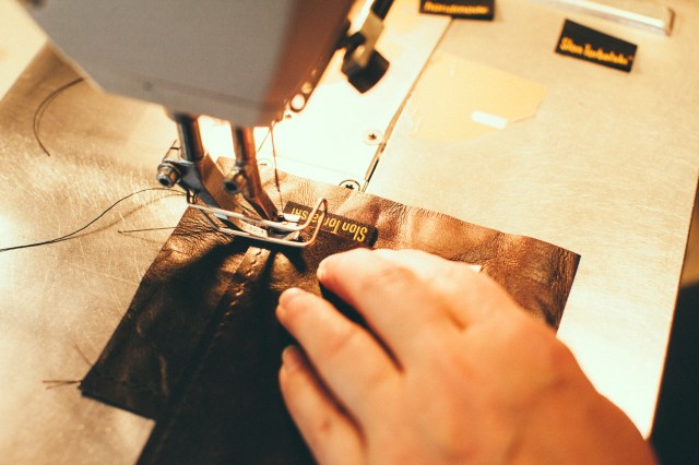 Slon_Torbalski_fot._Michal_Ramus-41