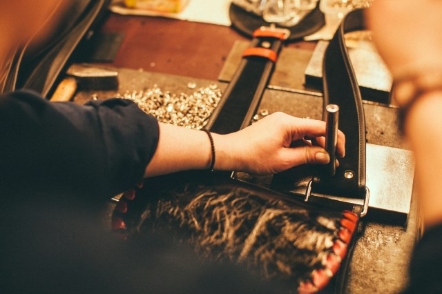 Slon_Torbalski_fot._Michal_Ramus-45