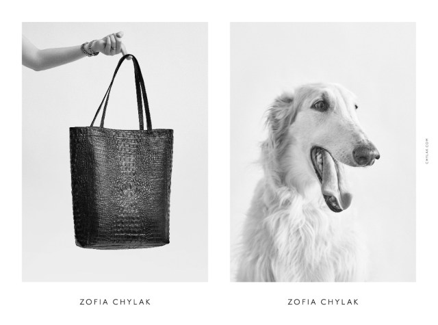 chylak-dogs-2016-press-01