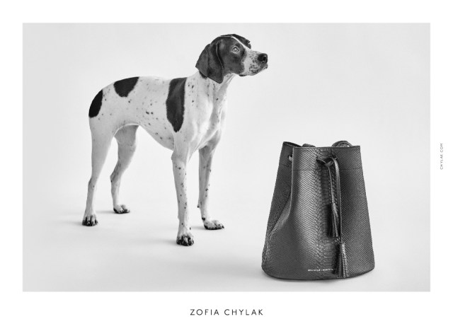 chylak-dogs-2016-press-02