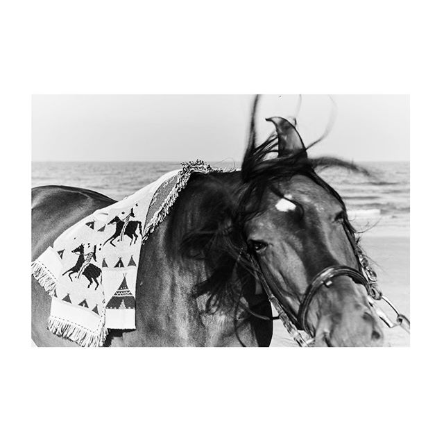 17587475_810699285763104_1774931441646305280_n